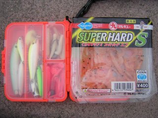 ���A�[���G�T