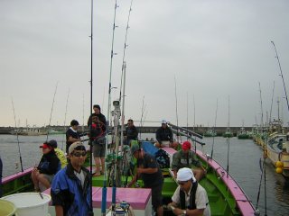 �������`�o�D