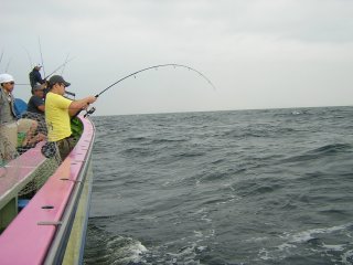 �V�C���ƃt�@�C�g��