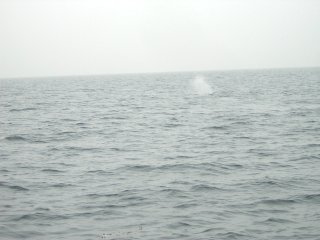 �N�W����