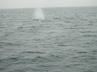 �Âɂ��ɐڋ�