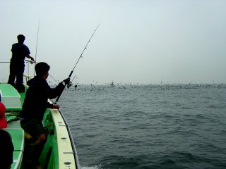 �}�b�J�����g�����}