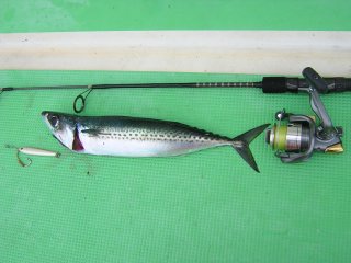 �}�b�J����