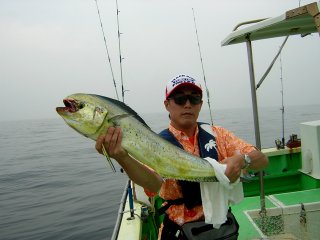 �V�C������