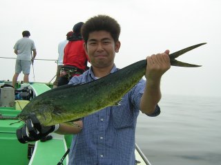 �V�C������