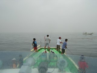 �~���V�̗l�q