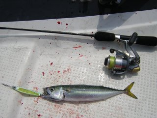 �}�b�J����