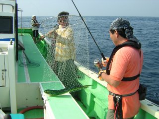 �V�C���L���b�`