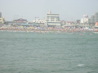 ���������T�U���r�[�`