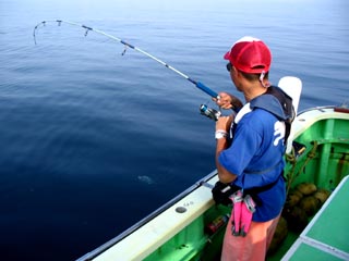 �y���y���t�@�C�g