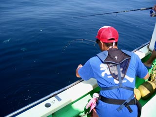 �c�R���^�N�g��