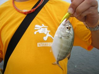 �M���K���b�L