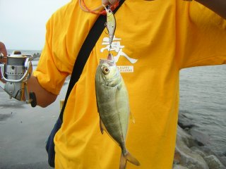 �A���L�T���h��