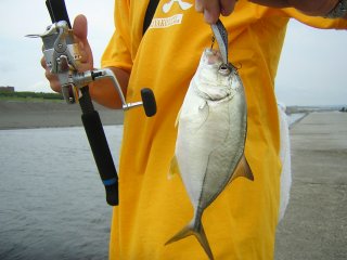 �M���K���b�L