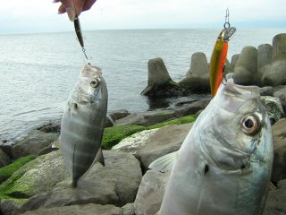 �_�u�����b�L