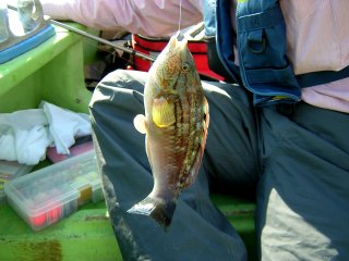 �T�T�m�n�x��