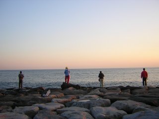 �����o�[