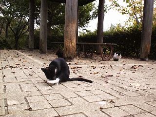 �ދ���3�Z��H