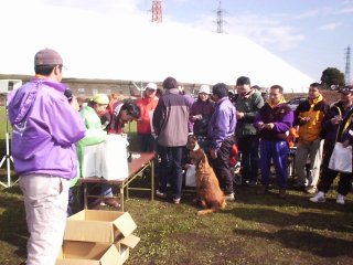 �r���S���