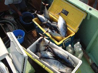 �務�����`