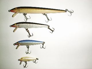 ���p���̃~�m�[