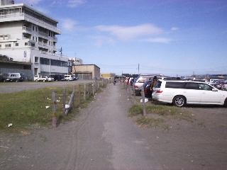 �T�U���r�[�`