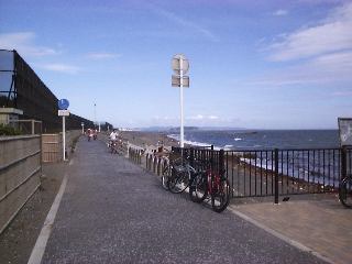 �T�[�t�@�[����