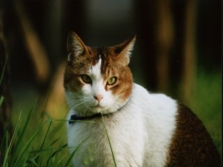 ���`��E�E�E�B