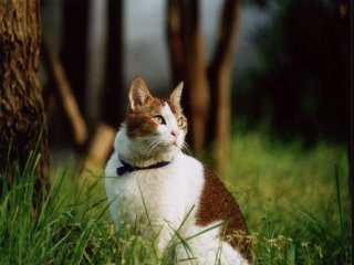 ���`�`�`��E�E�E�B