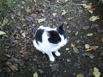 �����l�R