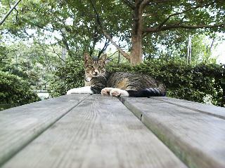 �x���`�ɂ�����