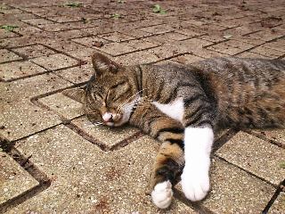 ����`����`