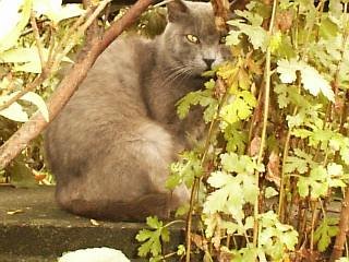 �����l�R