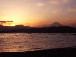 �͌�����Q