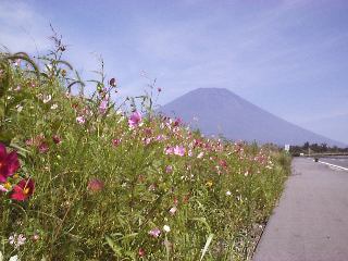 �R�X���X�ƕx�m�R