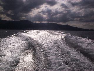 �R�o���g�A���[����