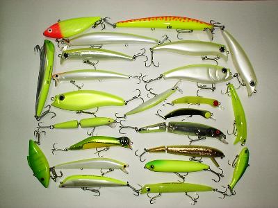 �`���[�g�ȃ��A�[