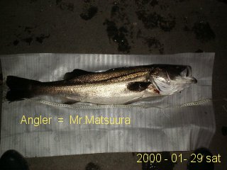 ���Y�l�̂X�O�t�o