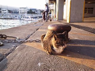 ���c���`�l�R