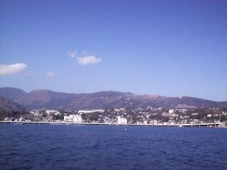 ���͌���