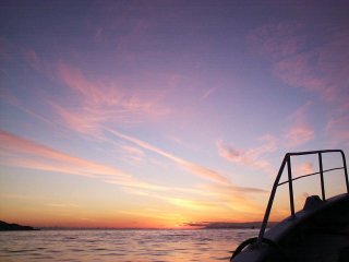 �������ɗ[�z�����񂾌�E�E�E�B