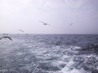 �����E�E�E�B