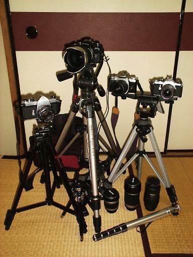 �J�����B