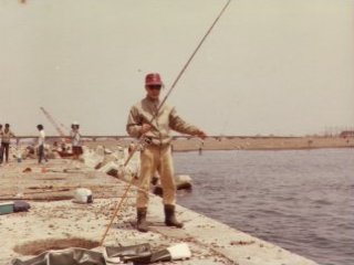 �����葤�̔n����h