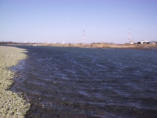 �ڋv�K����