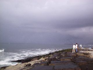 ���J�V�ނ�