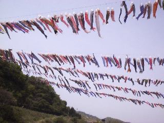 �����c����̂ڂ�P