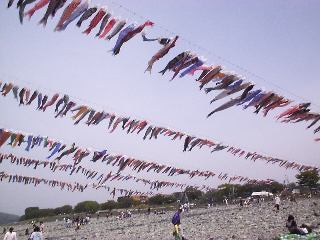 �͌�����