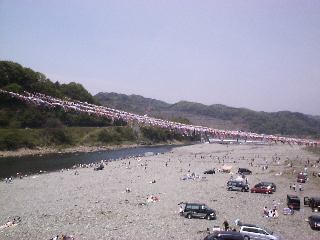 ���c������