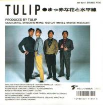 �^���ԂȉԂƐ�����